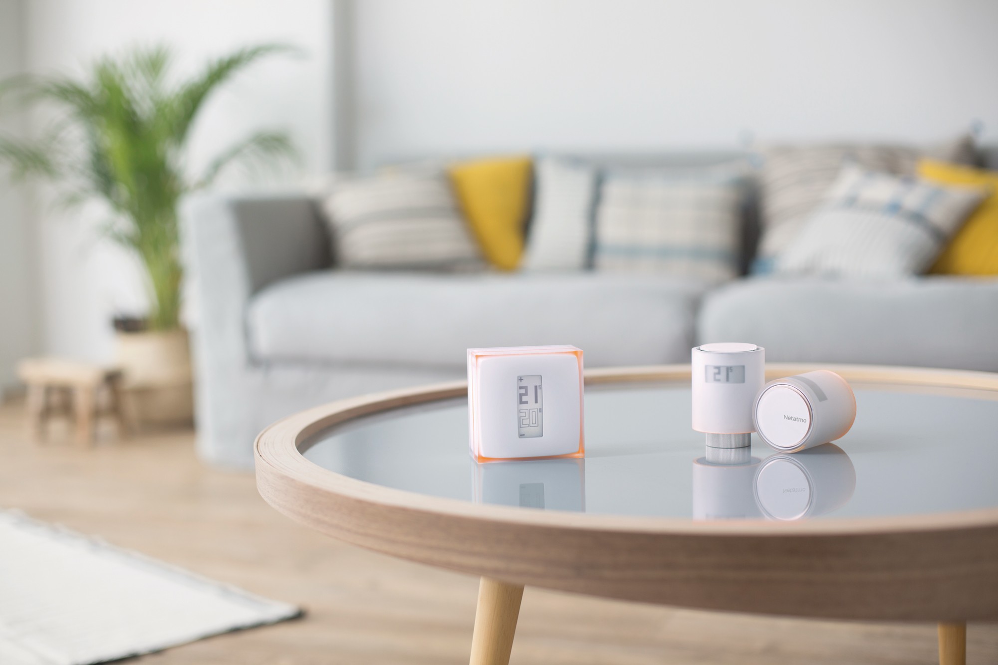 Thermostat connecté - NETATMO